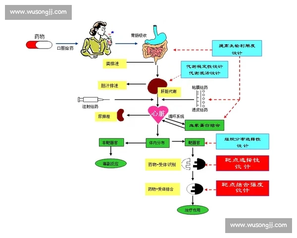 基于运动表现提升的体育心理调节机制与训练策略综合研究路径探索与实践应用
